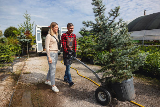 Trusted North Port, FL Tree Removal Experts